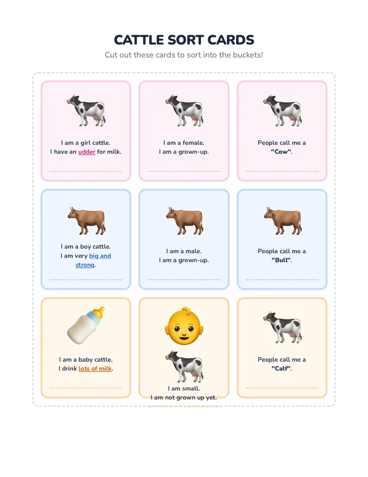 Cattle Sort Cards