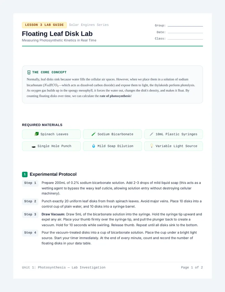 Floating Disk Lab Guide