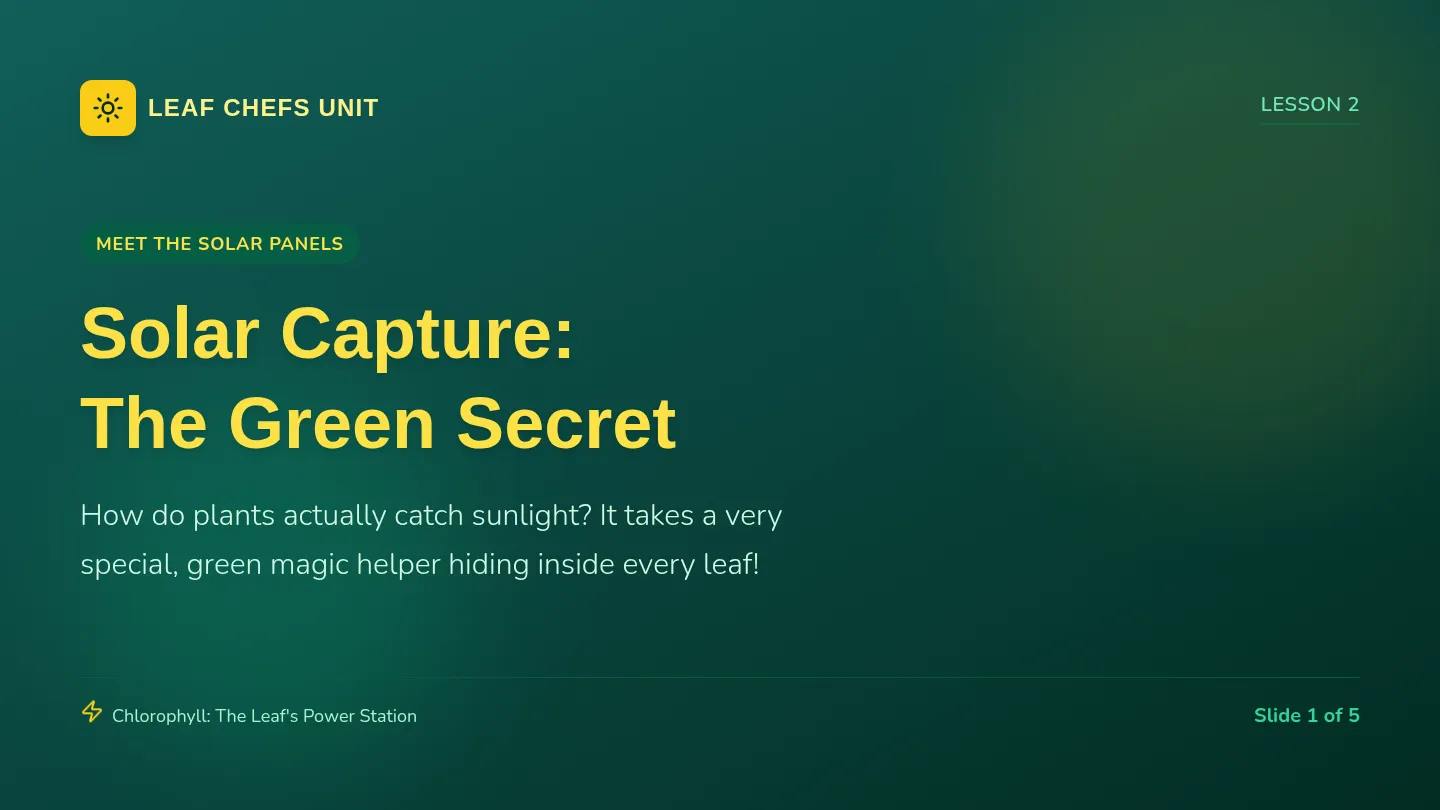Solar Capture Slides