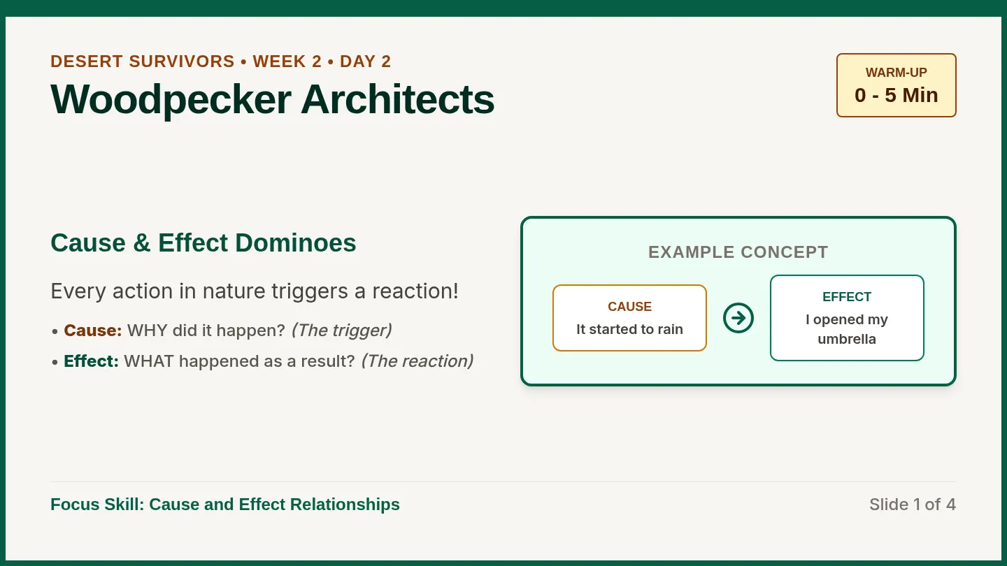 Woodpecker Architects Slides