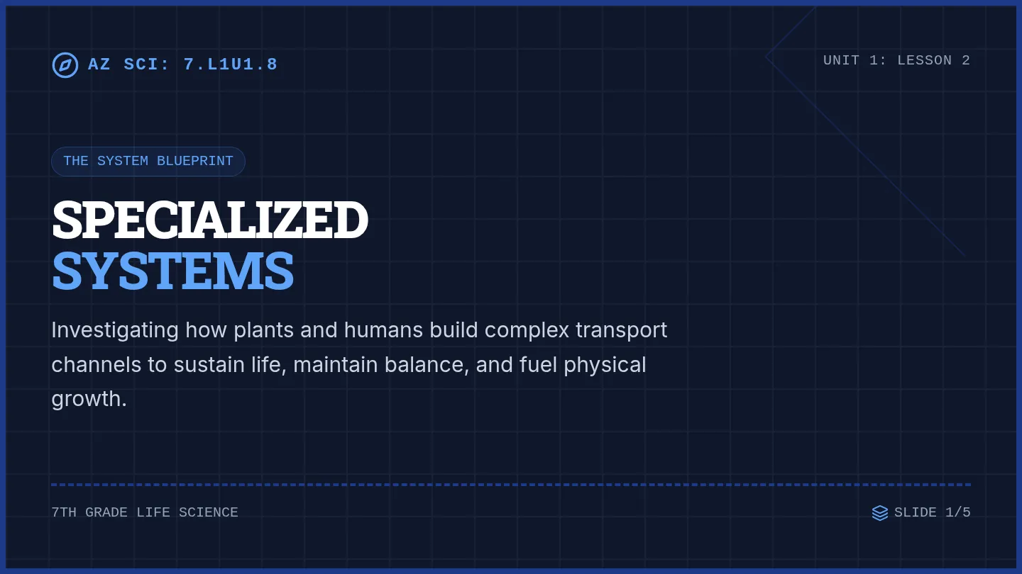 Growth Maintenance Slides
