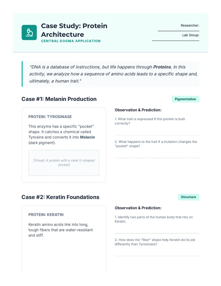Folding and Function Case Study Worksheet