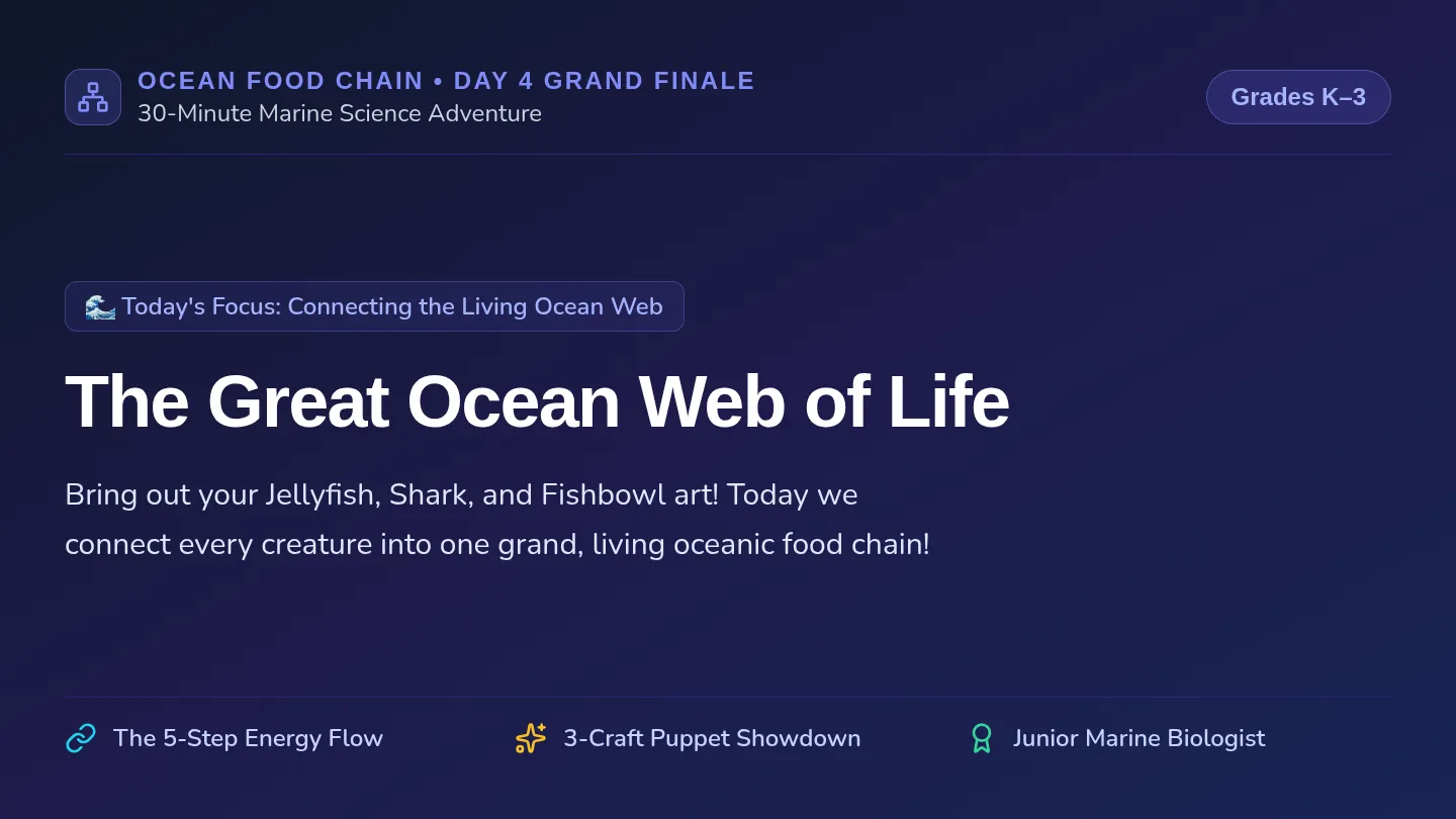 Food Chain Finale Slides