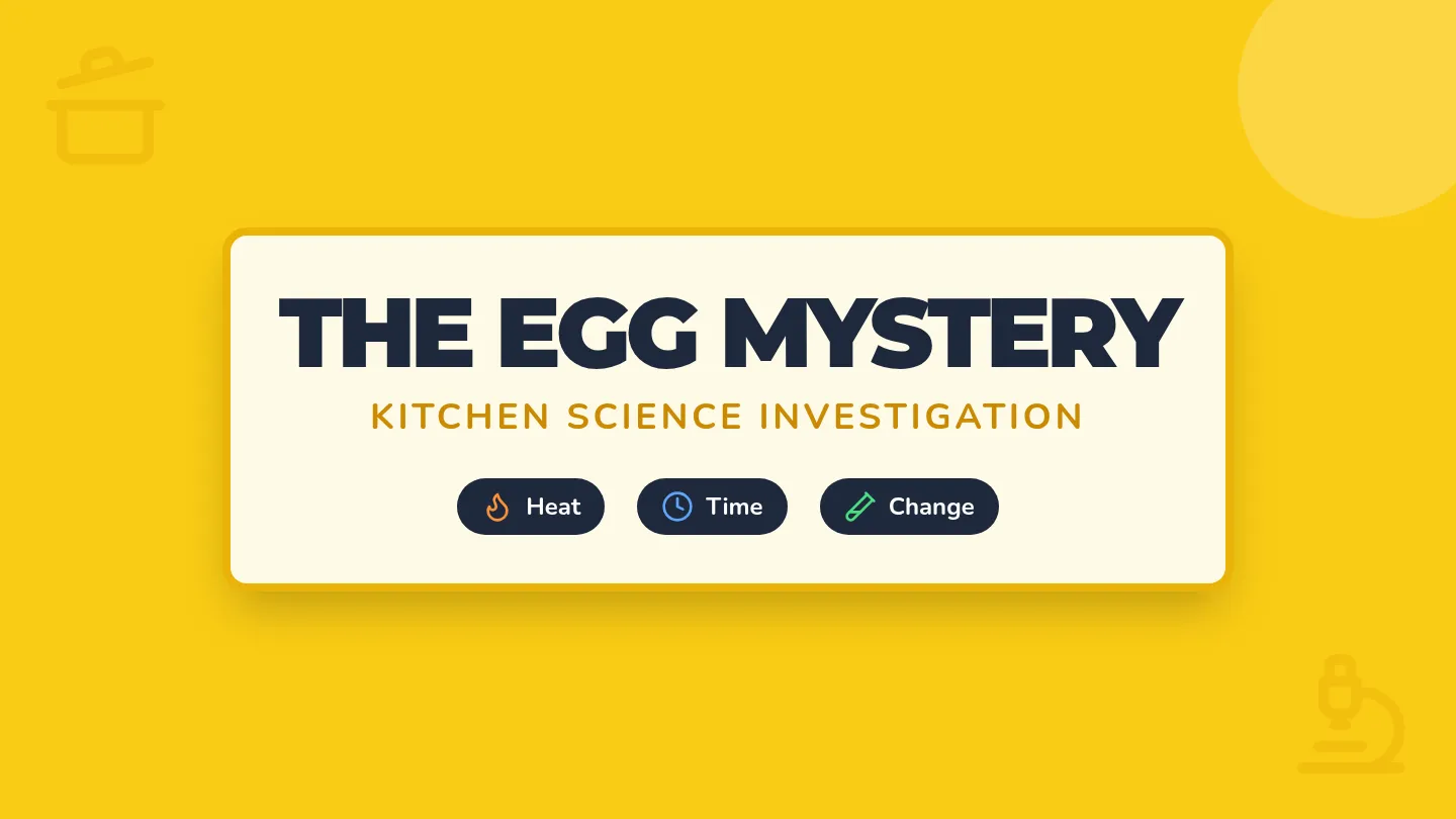 Egg Mystery Slides