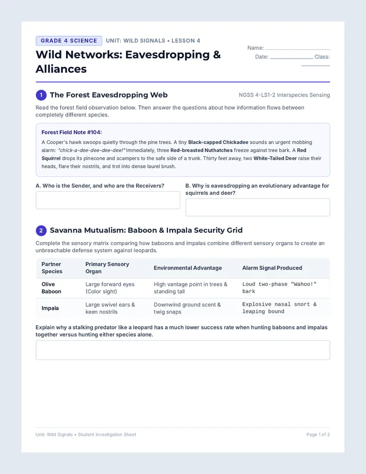 Wild Networks Worksheet