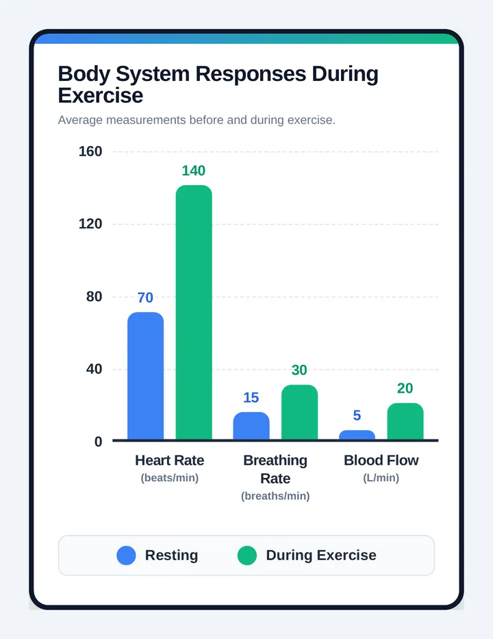 Exercise Responses Chart