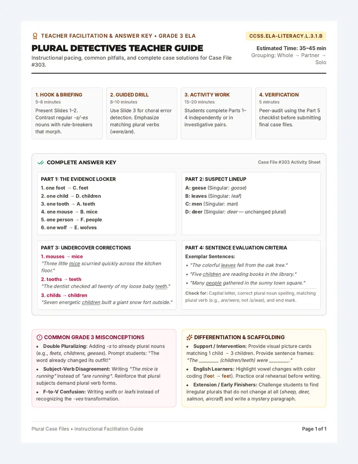 Plural Detectives Teacher Guide