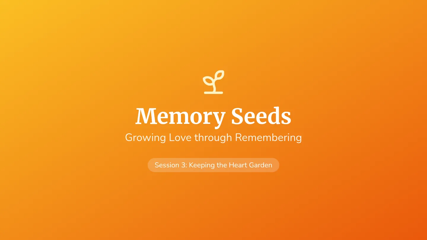 Memory Seeds Slides