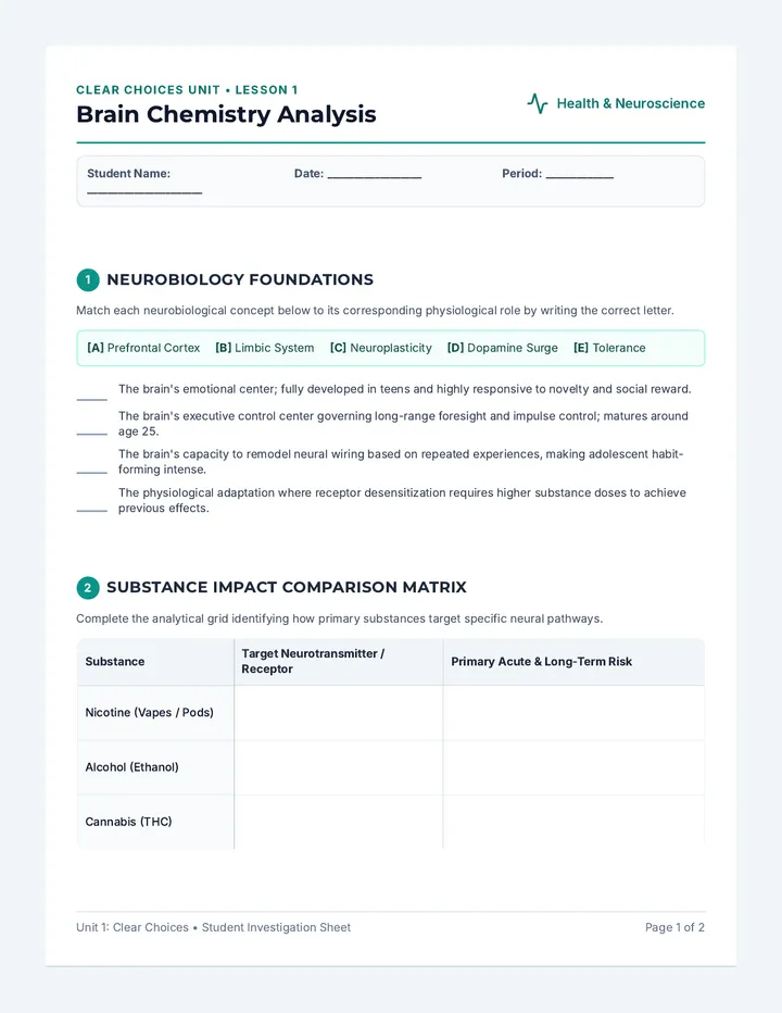 Brain Chemistry Worksheet