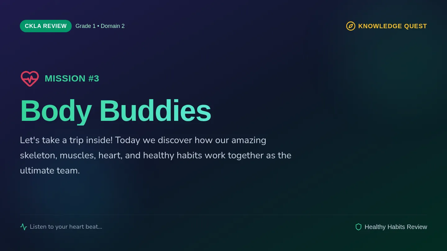 Body Buddies Slides