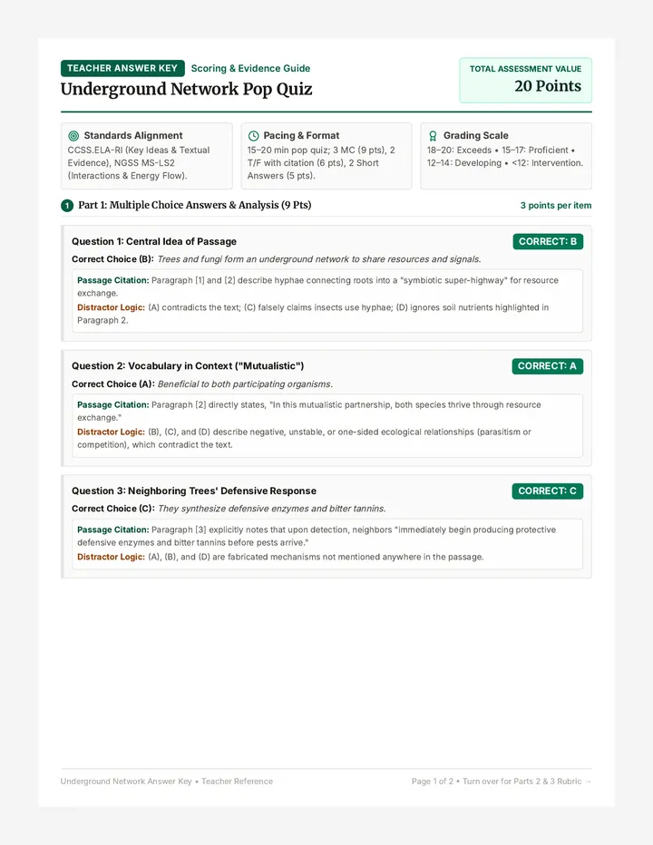 Underground Network Answer Key