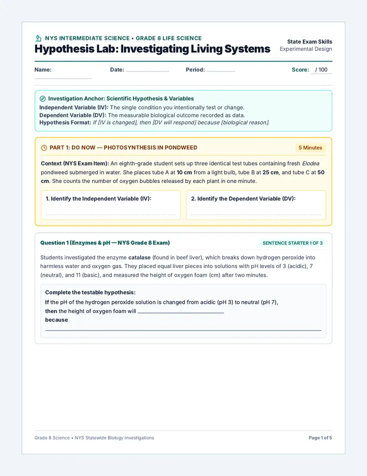 English Hypothesis Worksheet