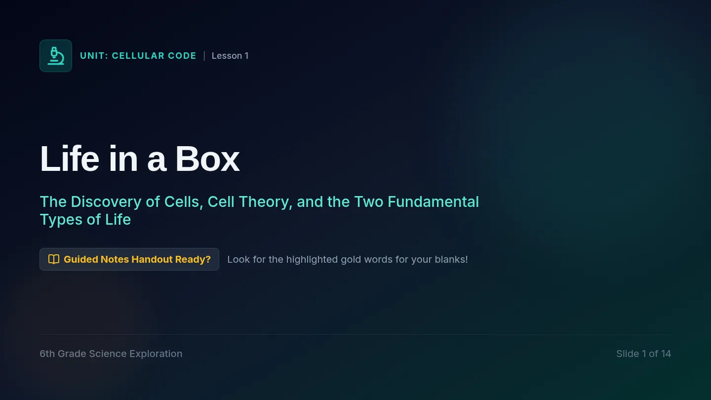 Life in a Box Slides