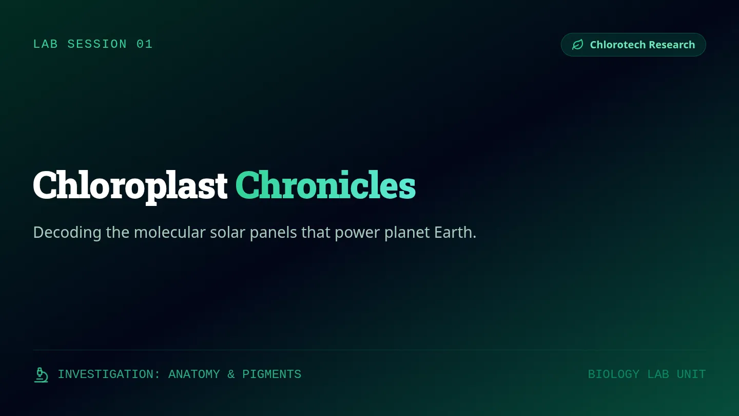 Chloroplast Chronicles Slides