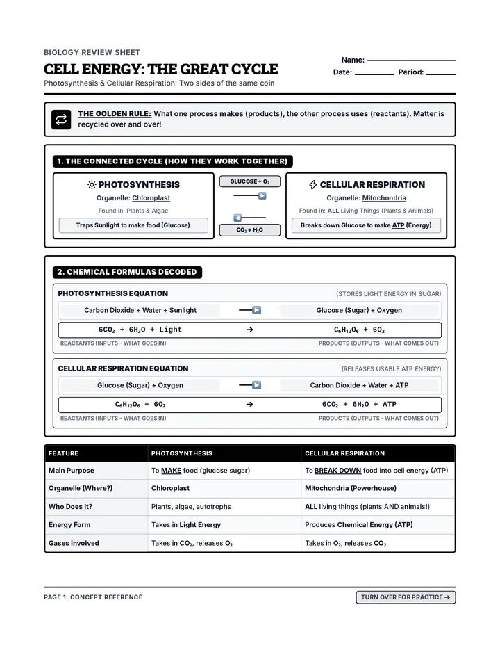 Energy Cycle Review Handout