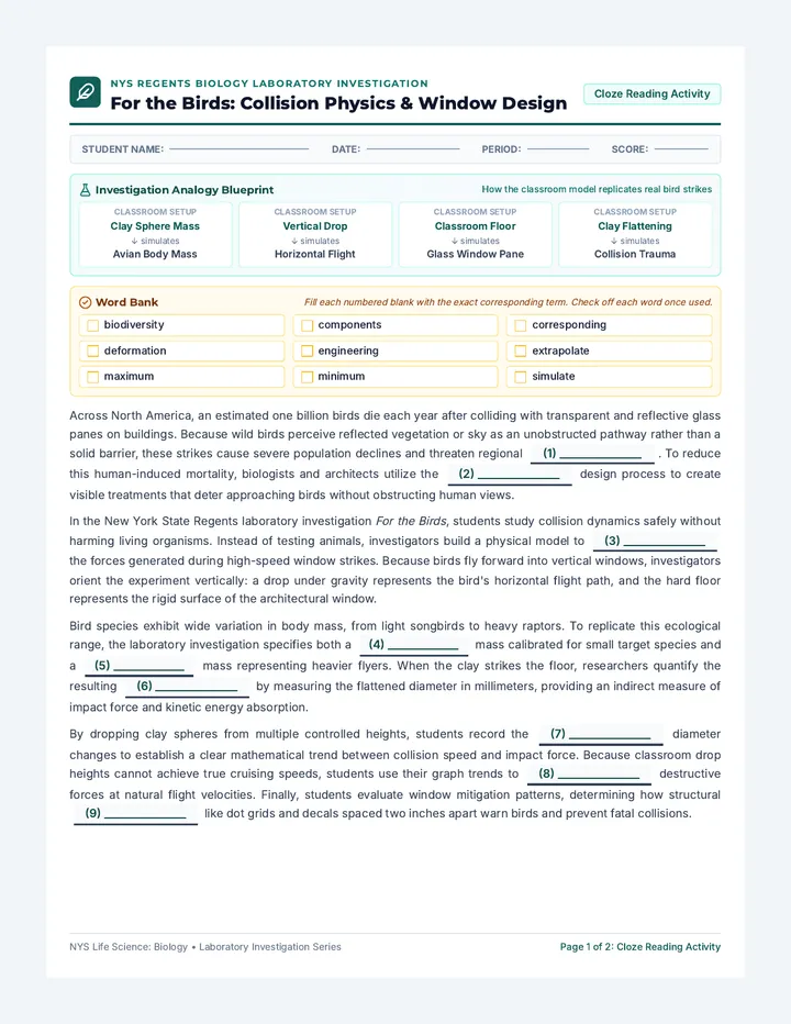 Bird Strike Cloze Worksheet