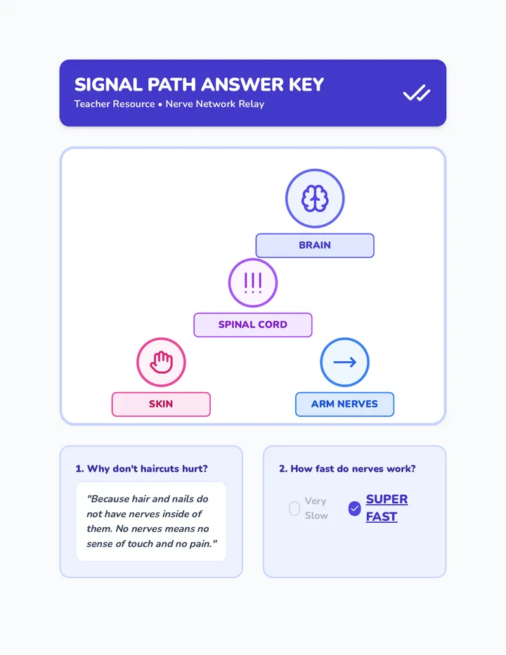 Signal Path Answer Key
