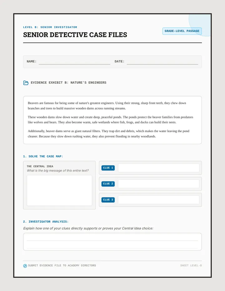 Idea Detectives Level B Worksheet