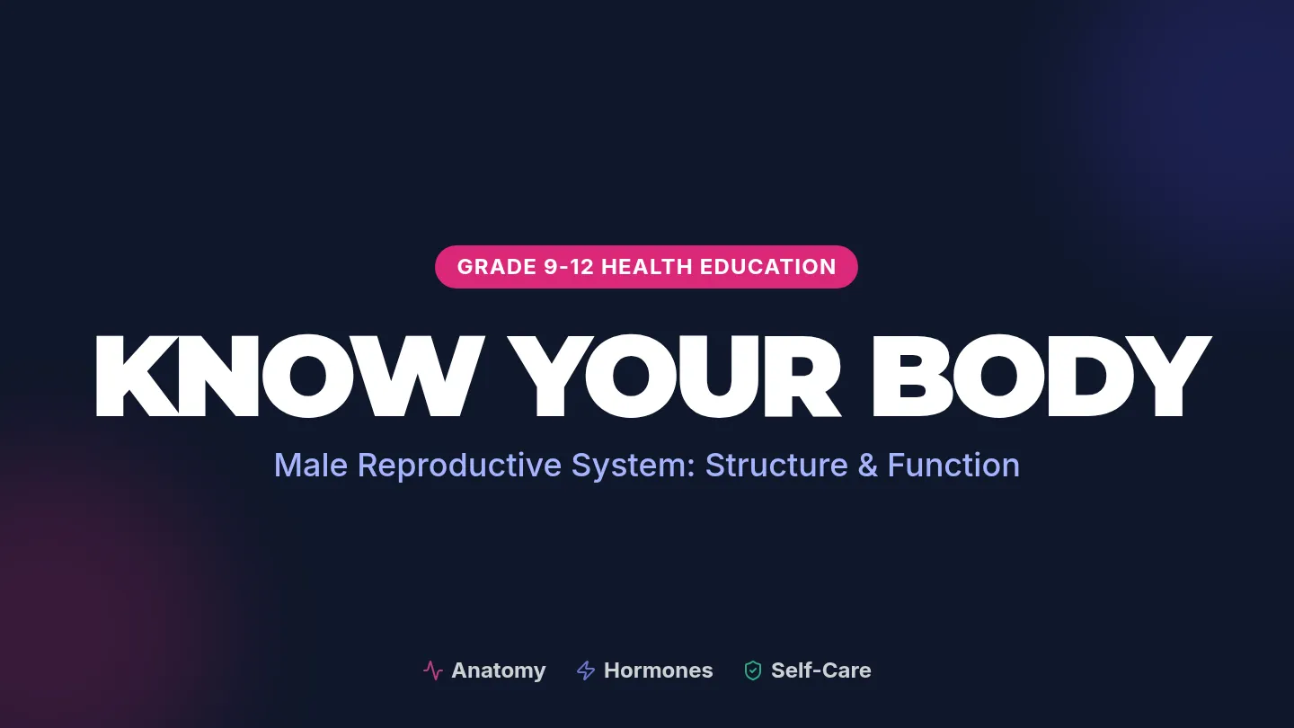 Male Reproduction Presentation Slides