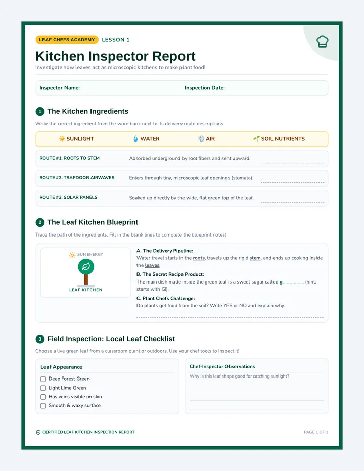 Kitchen Inspector Worksheet