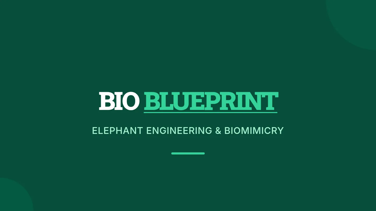 Bio Blueprint Slides