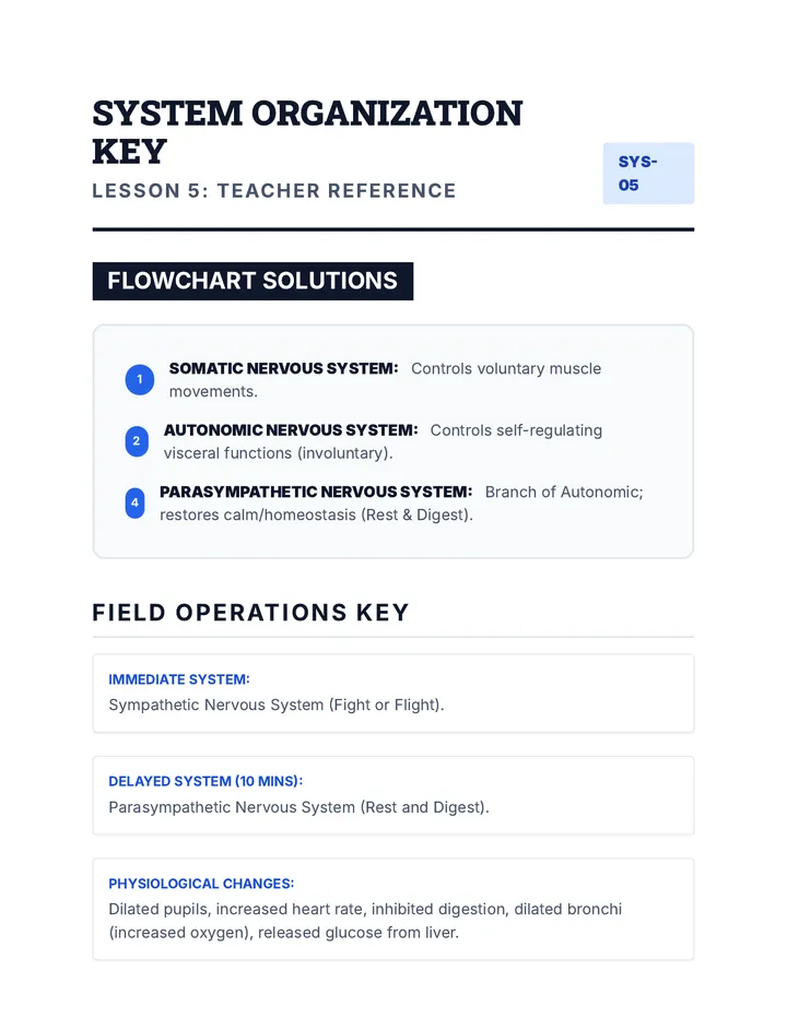 Nervous System Organization Key