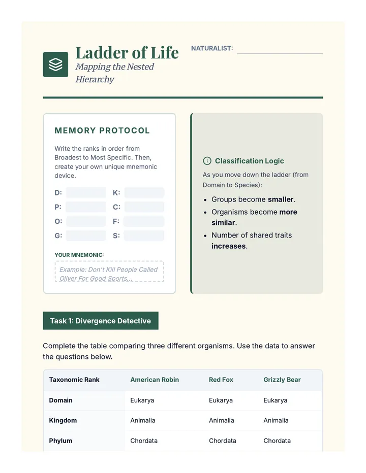 Ladder of Life Organizer