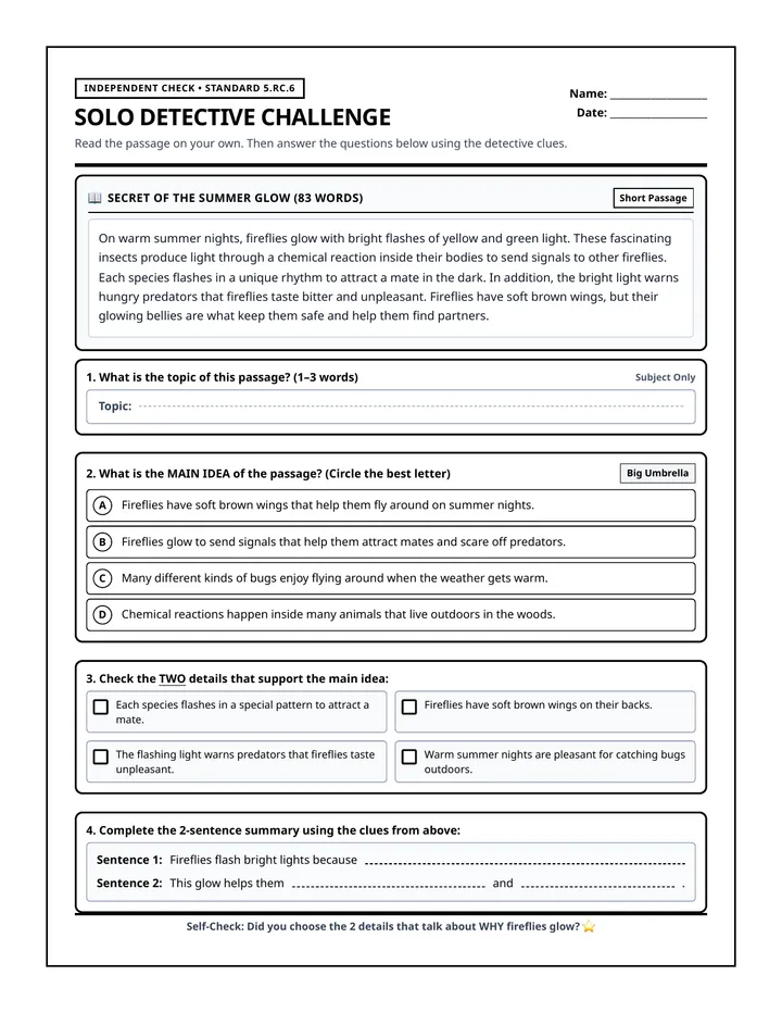 Solo Detective Practice Sheet