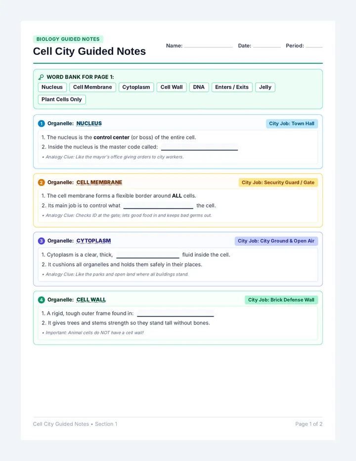 Cell City Guided Notes