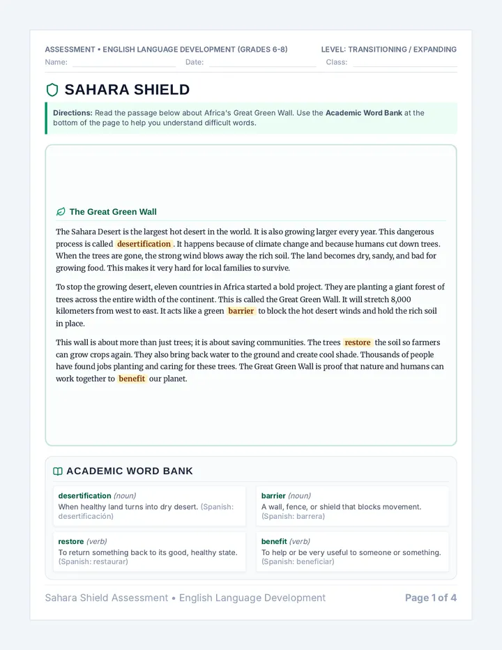 Sahara Shield Assessment