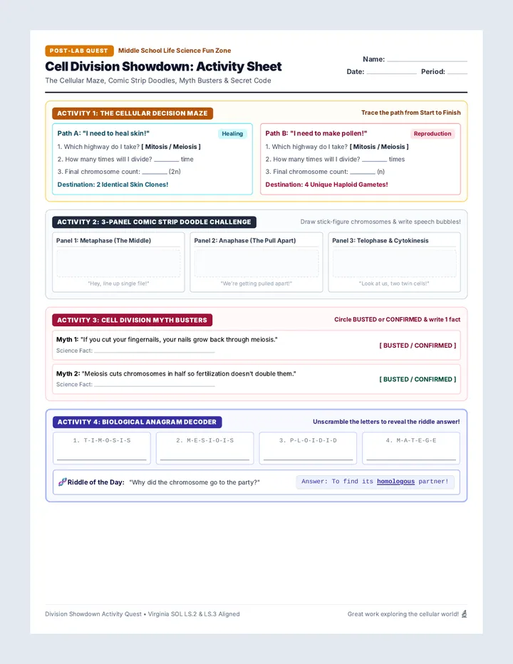 Division Showdown Activity Sheet