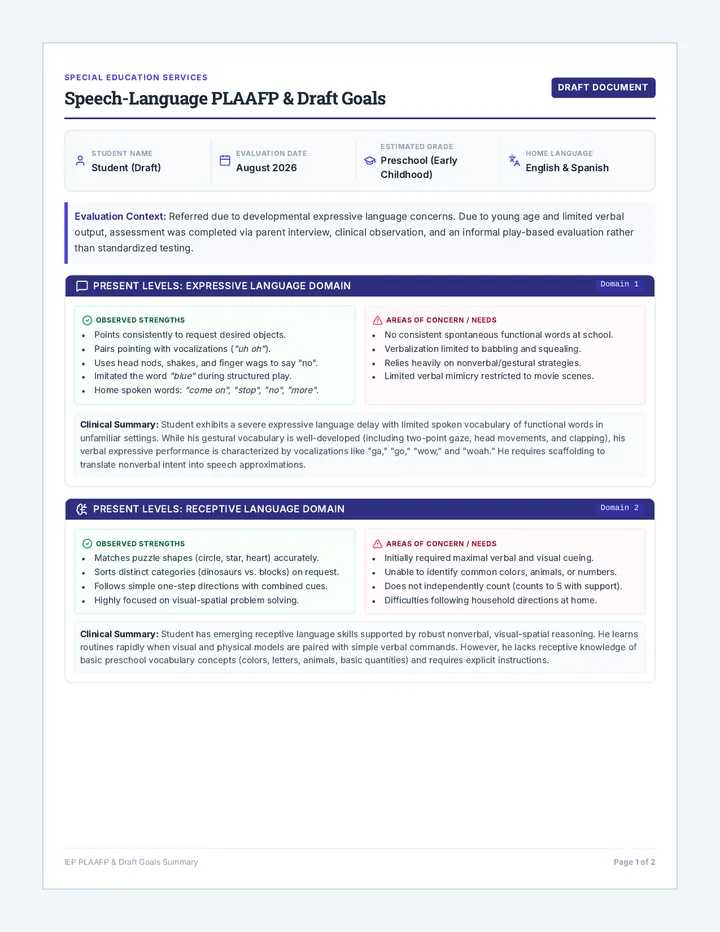 Speech Language PLAAFP Document
