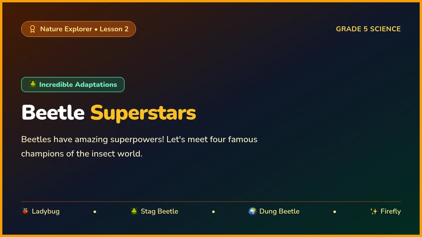 Beetle Superstars Slides