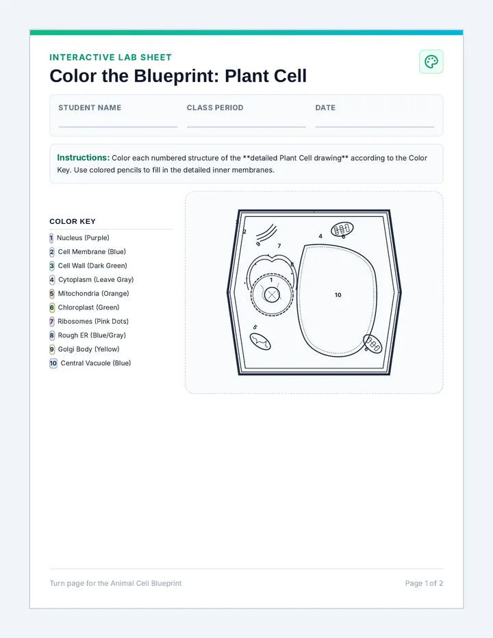 Cell Blueprints Coloring Activity