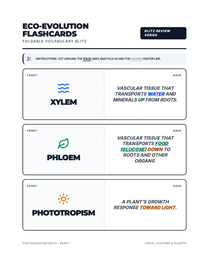 Eco Evolution Vocab Cards Plus Plus Plus