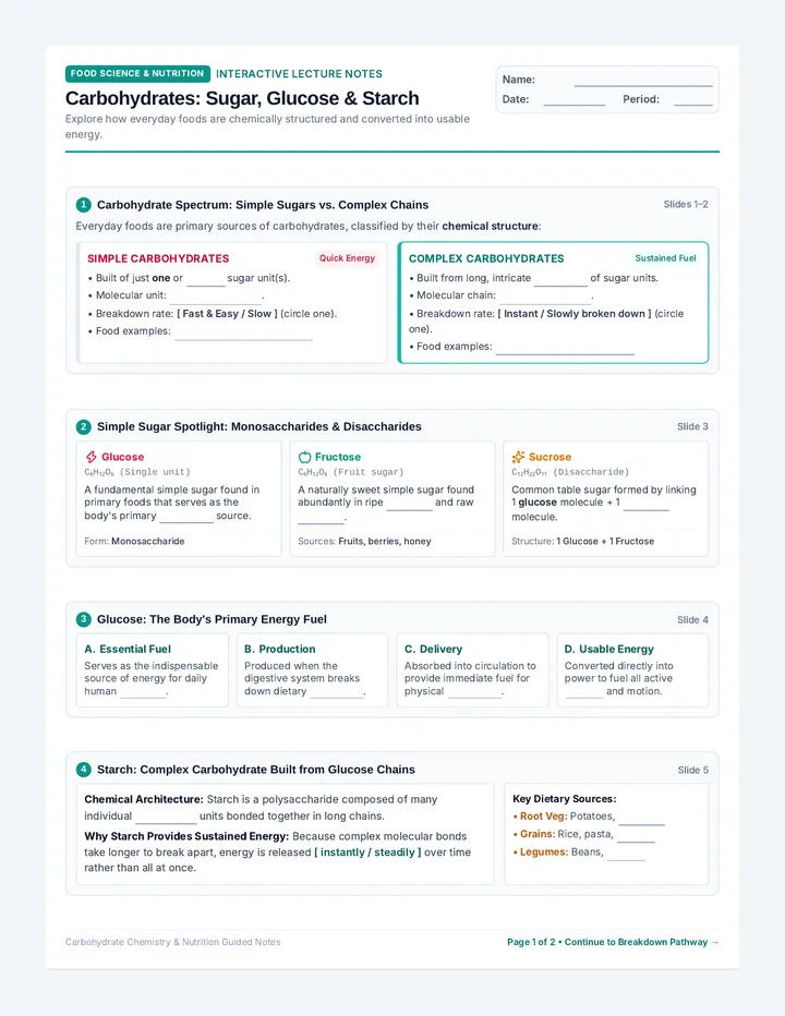 Carb Chemistry Guided Notes