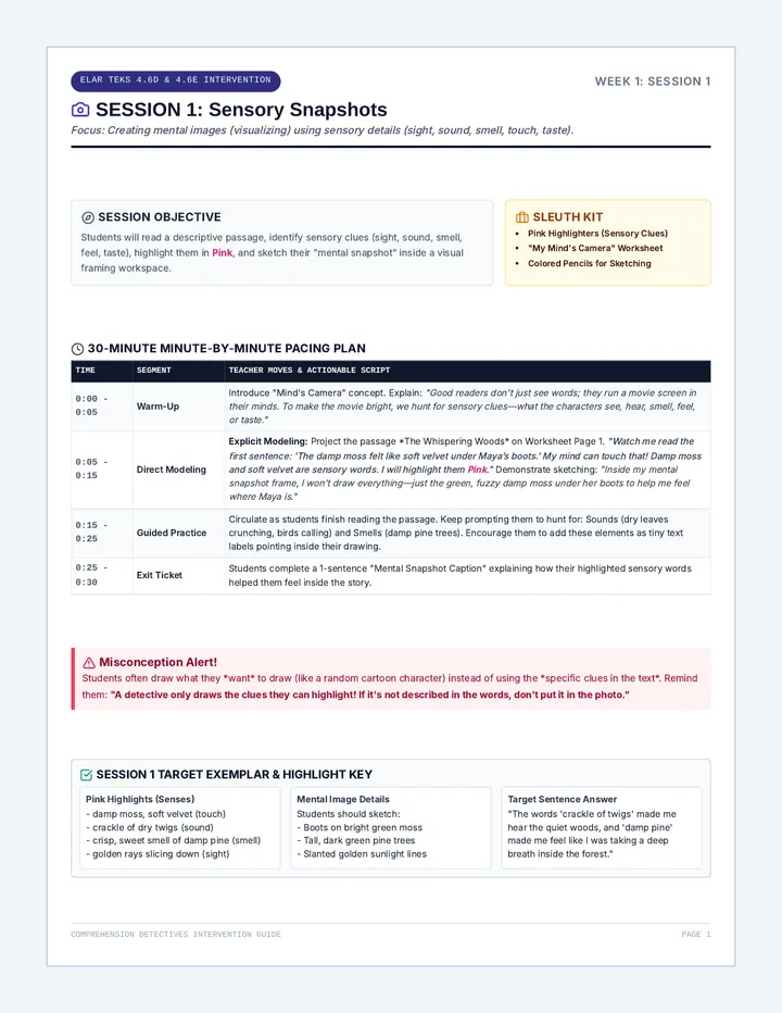 Comprehension Detectives Teacher Guide