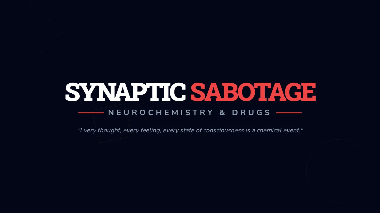 Neurochemistry of Drugs Slides