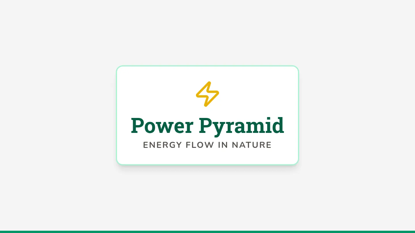 Power Pyramid Slides