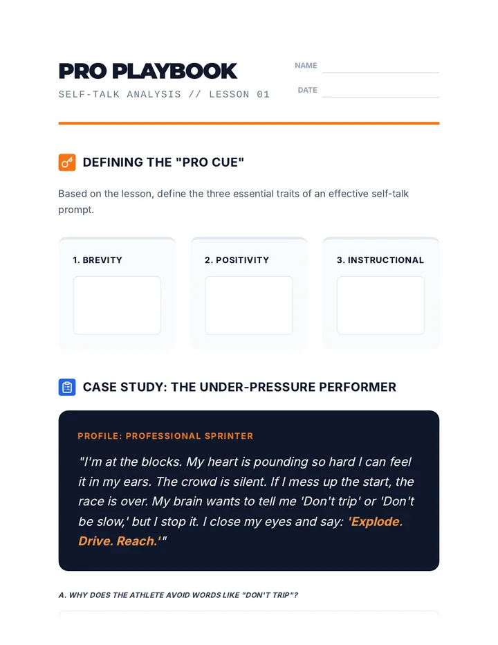 Pro Playbook Worksheet