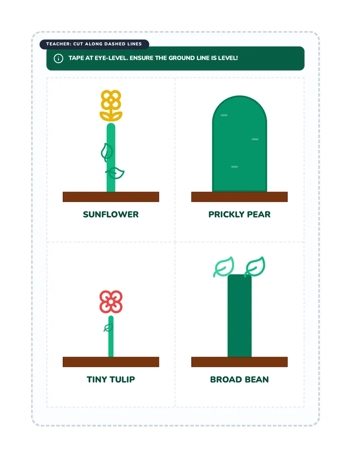 Garden Growth Cutouts