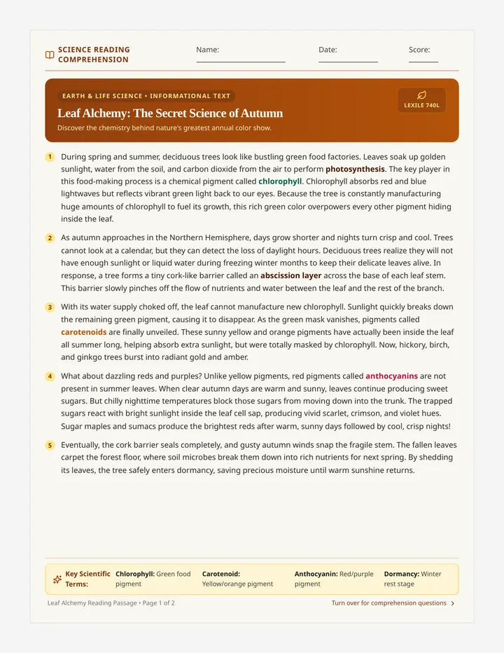 Leaf Alchemy Student Worksheet