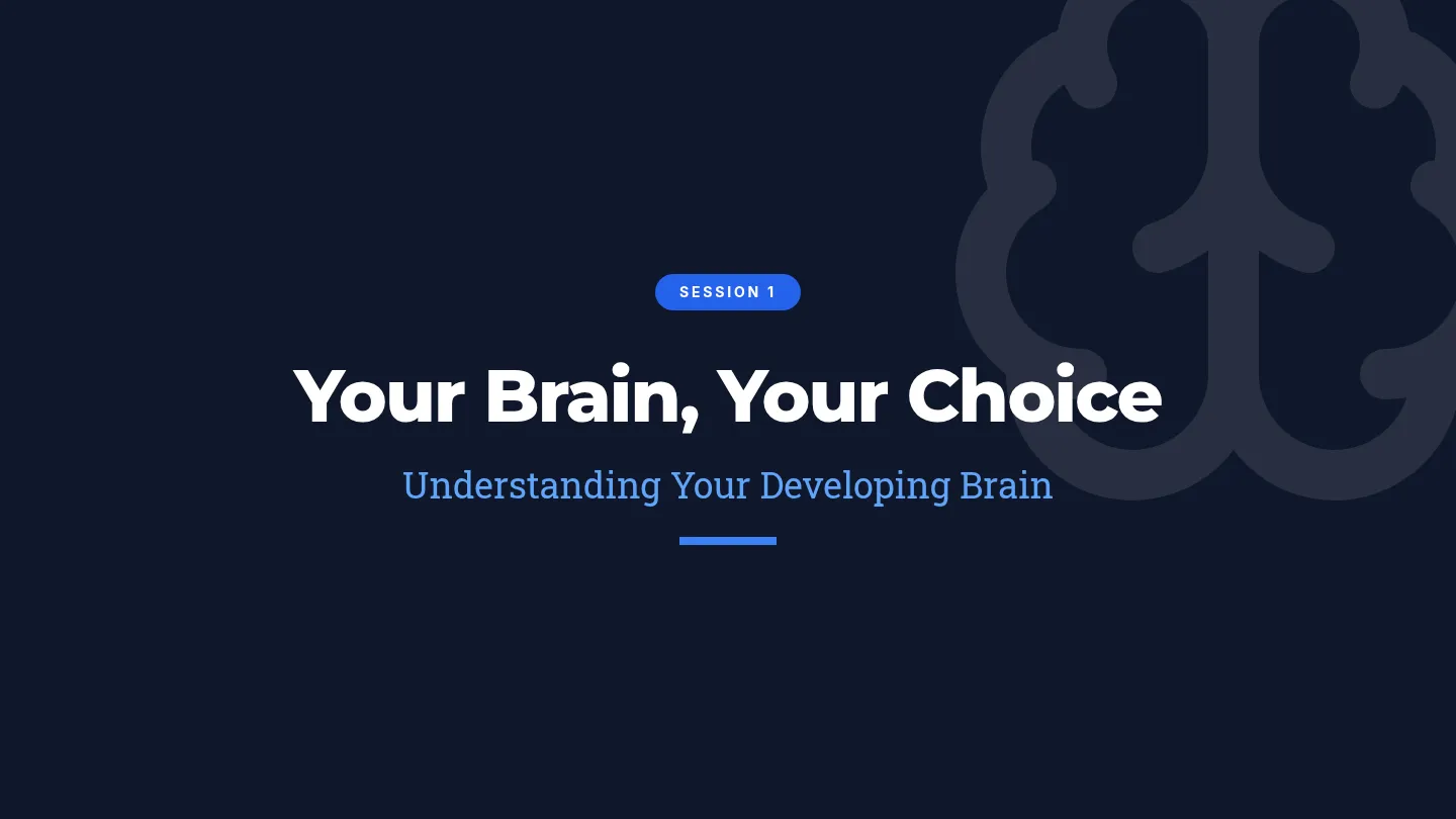 Brain Construction Slide Deck