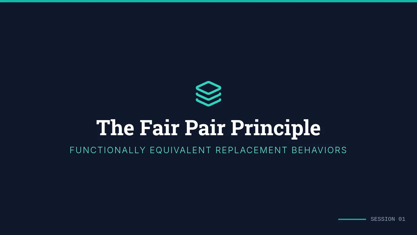 Fair Pair Slides