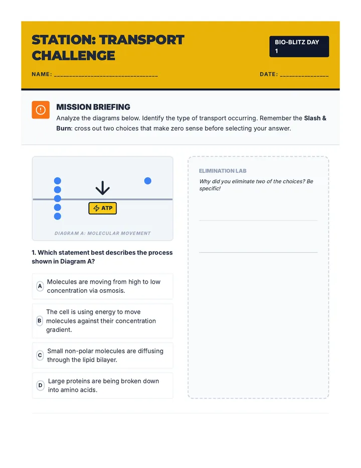 Transport Challenge Station Worksheet