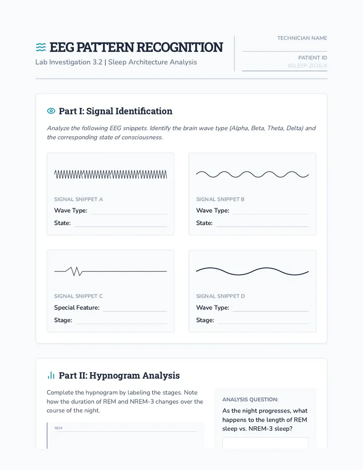 EEG Pattern Recognition Activity