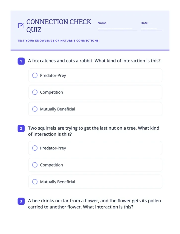 Connection Check Quiz Worksheet