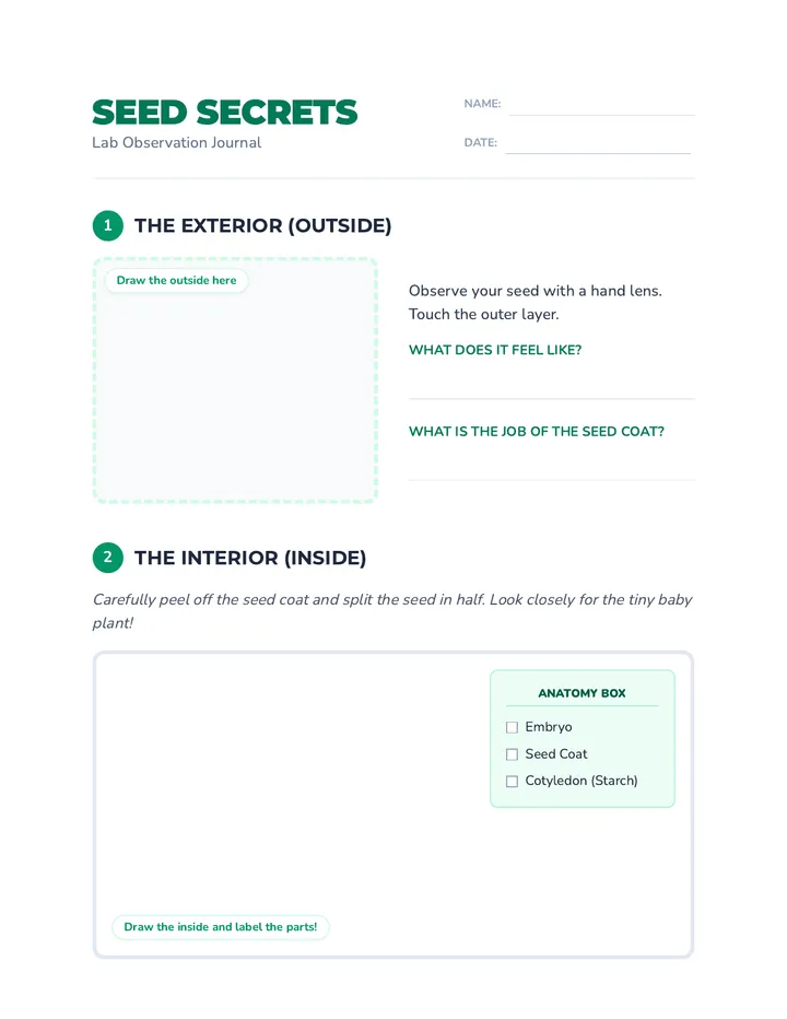 Seed Secrets Lab Sheet