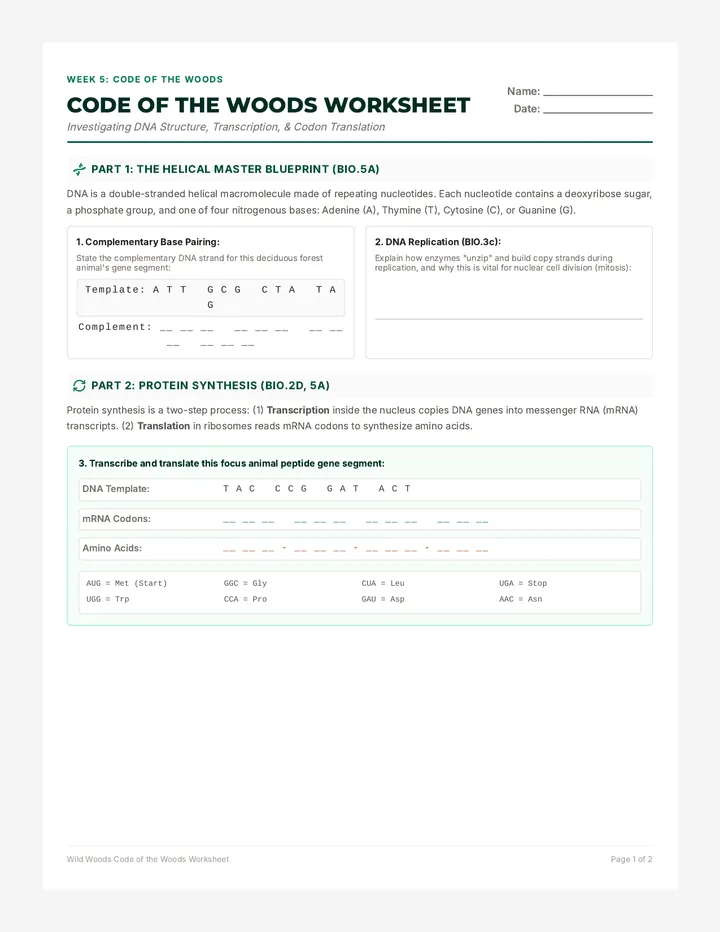 Code of the Woods Worksheet