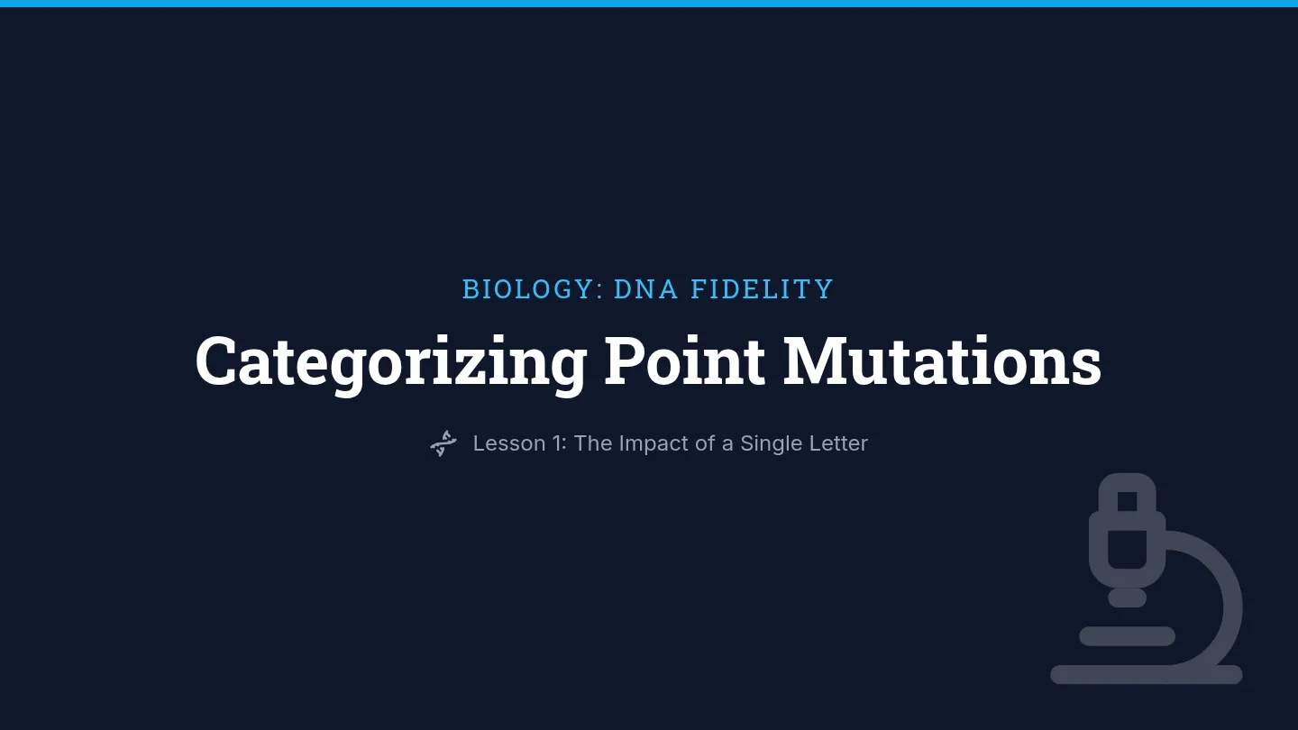 Point Mutations Slides